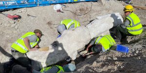 m colorida mostra homens trabalhando para retirar fósseis de um buraco nos Estados Unidos