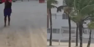 Tempestades provocaram queda de árvores em todo o estado de SP