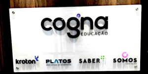 Ibovespa em 2025: Cogna (COGN3) brilha e Raízen (RAIZ4) decepciona