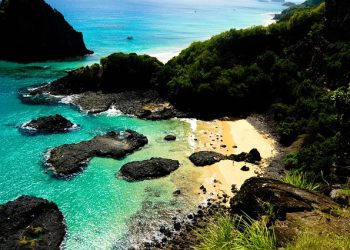 como ir de curitiba para fernando de noronha