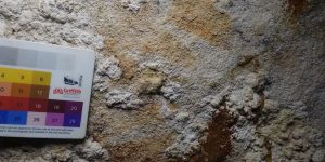 Divulgação/Universidade Griffith