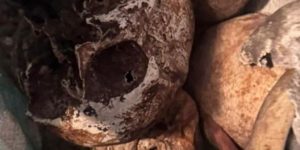 restos mortais como cranios, foram encontrados em apartamento em SP