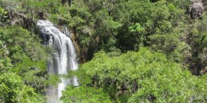 Tereza Hoffman/Divulgação