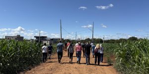 Foto: Governo do Paraná