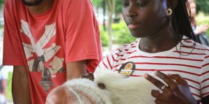 10ª Marcha do Orgulho Crespo: uma década de resistência em Curitiba