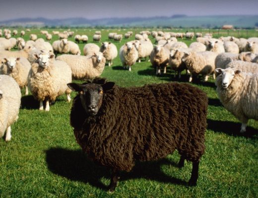 Alan Thornton / Getty Images