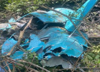 Reprodução/ Redes Sociais