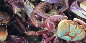 db57d293-ed8e-4557-8513-96ad27f3bd0b