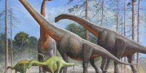 Sergey Krasovskiy/Getty Images