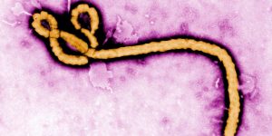 O que sabemos até agora sobre os dois casos de suspeita de Ebola no Brasil — Fot