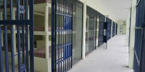 edicao-imagens-g1-60-