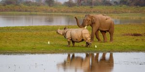 Jonas Stenqvist/500px/Getty Images