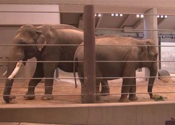 SMITHSONIAN NATIONAL ZOO