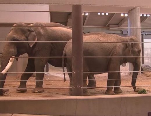 SMITHSONIAN NATIONAL ZOO