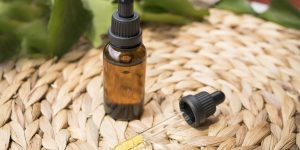 erin_hinterland-cbd-oil-5358403