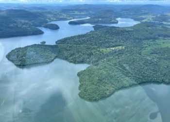 Estação Ecológica Estadual Reserva de Bituruna