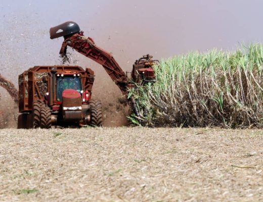 Aumento na produção de etanol no Brasil é esperado para 2026