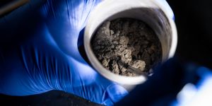 Universidade Northeastern