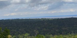 m colorida mostra paisagem da Amazônia - Metrópoles