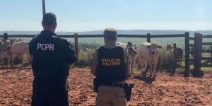 Foto: Governo do Paraná
