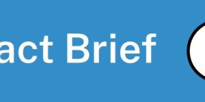 ICE de terroristas domésticos