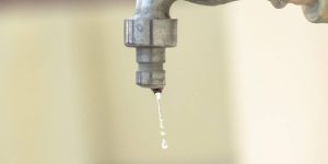 reprodução / Freepik