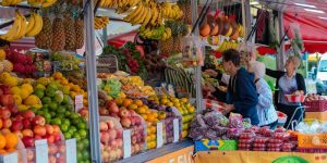 Isabella Mayer/SECOM