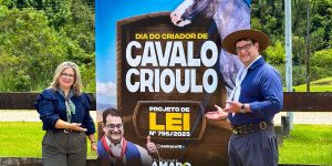 foto cavalo crioulo