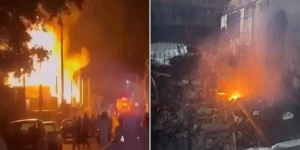 Redes sociais, Reprodução