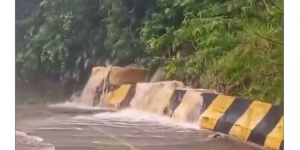 Tempestade provoca desabrigados e estragos no litoral de São Paulo