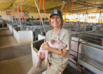 Foto: Governo do Paraná