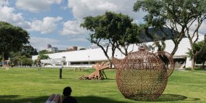 Foto: Governo do Paraná