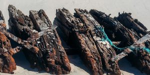 m colorida mostra pedaços de navio naufragado nos EUA