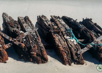 m colorida mostra pedaços de navio naufragado nos EUA