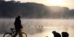 frio-parana