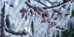frio-sul-brasil-5