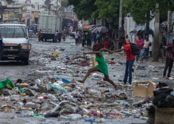 Guerinault Louis/Anadolu via Getty Images