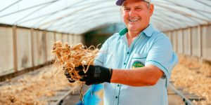ginseng-querencia-02-scaled-1