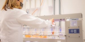 Universidades Estaduais confirmam excelência em pesquisa científica em avaliação da Capes