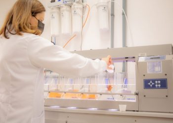 Universidades Estaduais confirmam excelência em pesquisa científica em avaliação da Capes