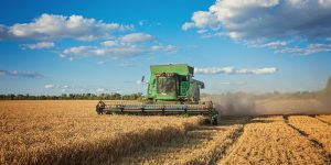 Harvesting combine in the field