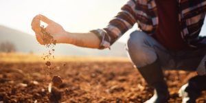 (Créditos: SrdjanPav / iStock)