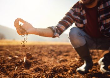 (Créditos: SrdjanPav / iStock)