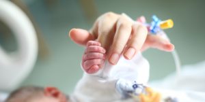 Créditos: istock/:muratkoc