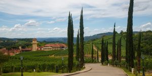 (Créditos: AlexandreFagundes / iStock)