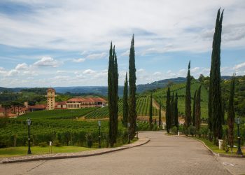 (Créditos: AlexandreFagundes / iStock)