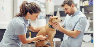 Créditos:istock/Ivanko_Brnjakovic