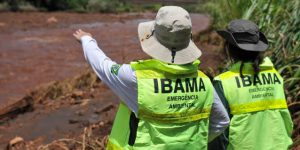 Ibama alerta sobre golpe do falso concurso público em 2024