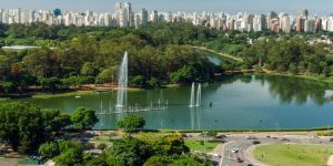 Queda de árvore fere duas pessoas no Parque Ibirapuera