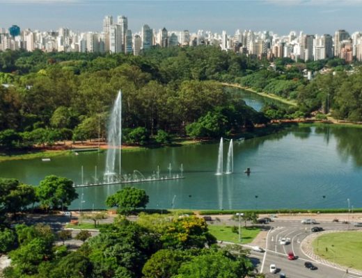 Queda de árvore fere duas pessoas no Parque Ibirapuera